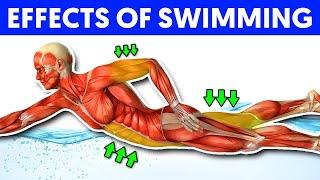 What Happens To Your Body When You Swim Every Day