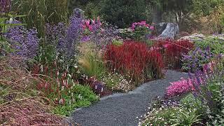 Tour a Garden That OVERFLOWS With Plants and Color | Garden Tour with Fine Gardening