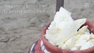 Barosi A2 Buffalo Ghee | Prepared From the traditional Bilona Method | Desi Murrah Breed