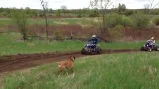 Yamaha Banshee vs Yamaha Blaster