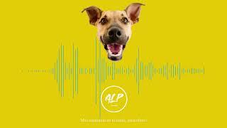 SONIDO PERRO LADRANDO || EFECTO DE SONIDO || ALPsounds -- BARKING DOG