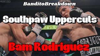 How Bam Rodriguez ENDS Fights with Lethal Uppercuts