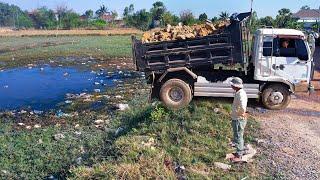 Wonderfull Activity Start New Project Land Fill By Dozer Push Soils Into Water With Dump Truck 5Ton