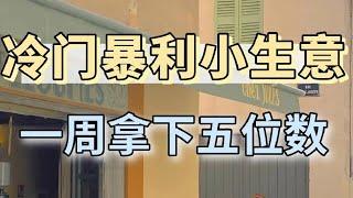 冷门灰产网赚项目 居家网络赚钱方法 零投资零基础日赚千元快速赚钱实现财富自由 居家兼职创业 人人可做！