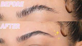 HOW TO GROOM + SHAPE EYEBROWS YOURSELF AT HOME (EASY!) | jasmeannnn