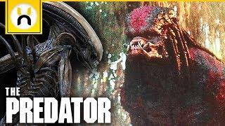 Upgrade Predator Has Xenomorph DNA Theory Explained | The Predator (2018)