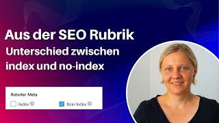 SEO Begriffe: Unterschied index und no-index! Wann nutzt man was?