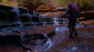 Zion 2014 (Day 6) - Ben Horne On Location