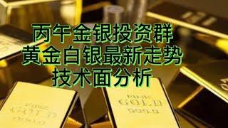 丙午金银投资交流技术面分析黄金白银最新行情