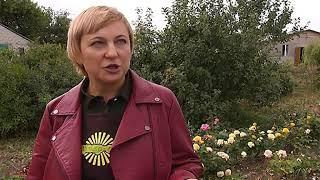 СуперСад Удобрения для роз