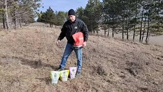 Food Plot Frost Seeding Part 1