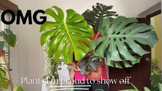 10 absolutely amazing plants I need to show off to the world !!