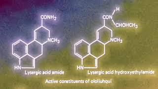 LSH Dream Experiments - LSH (lysergic acid hydroxyethylamide) Trip Report #1