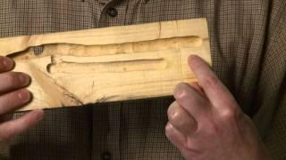 Why Carpenter Bees Drill Holes in Houses: A Moment of Science