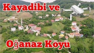 Sinop - Türkeli - Kayadibi ve Oğanaz Köyü | Drone ile Köy gezisi