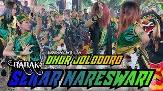 SEKAR NARESWARI KESENIAN JATHILAN DHOR JOLODORO PERFORM CUPUWATU 1 #dhorjolodoro #sekarnareswari