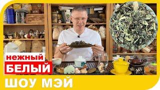 БЕЛЫЙ ЧАЙ ШОУ МЭЙ   сочетание свежести, весны и пробуждения