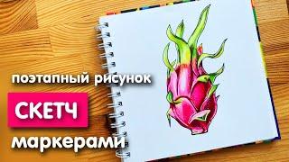 Рисунок скетч маркерами "Драгон фрукт" для скетчбука | Срисовка картинки для начинающих