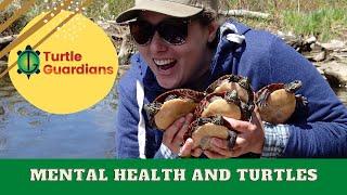 Mental Health and Turtles | Turtle Guardians Curriculum