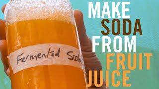 HOW TO TURN ANY FRUIT JUICE INTO A SODA - with homemade natural probiotics