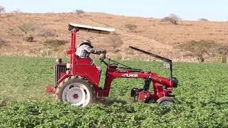 Hilling Potatoes with Tilmor Tractor