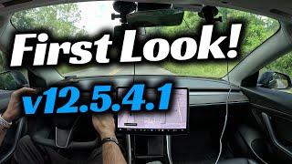 Check Out My First Drive on Tesla's FSD Supervised v12.5.4.1