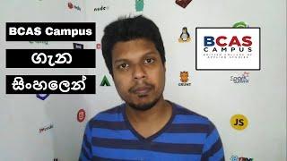 BCAS campus (British College Of Applied Studies) | TecPack Plus