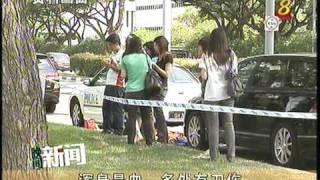 Singapore Kallang Murder Case - 01/06/2010 加冷一死三伤劫案