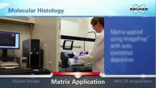 Molecular Histology - Bruker Daltonics Inc. Imaging