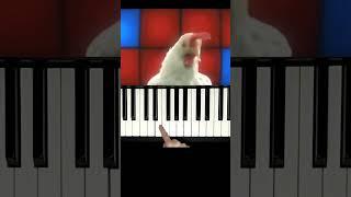 J.Geco - Chicken Song (Piano Easy)#shorts #chickensong #pianocover #pianotutorial