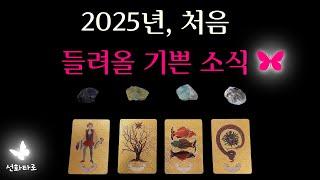 [타로I행운] 2025년, 처음으로 들려올 기쁜 소식(1월 기쁜 소식)