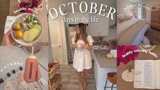 October Days  | staying active, healthy meals, home decor haul & data night 