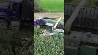 John Deere 6810 Forage Harvester #tractorvideo #harvestingmachine #farmequipmentinaction