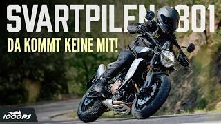 Preis-Leistungs-Sieger aus dem KTM-Konzern - Husqvarna Svartpilen 801 Test