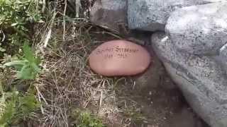 Elephants Back - Part 9 "Remembering Gunther Straesser"