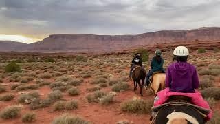 Moab Horses