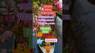 жизнь без долгов и кредитов #бизнес #работа онлайн