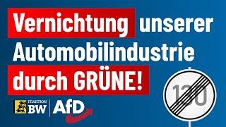 Vernichtung unserer Automobilindustrie durch GRÜNE Regierung!