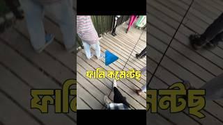 No brain no pain | Tiktok Funny Comments Reading | RC6