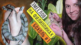 Ловим ЗМЕЙ и ГЕККОНОВ на Филиппинах Часть 1 / Snake hunting on Philippines Part 1 / Змеелов - учёный