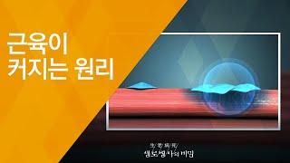 근육이 커지는 원리 - (2018.5.16_648회 방송) 장수의 조건 근육테크