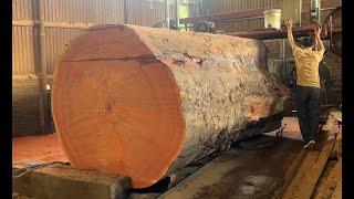 Extreme Wood Cutting Sawmill Machines | Operating Extra Large Saws, Beautifully Sawing Planks