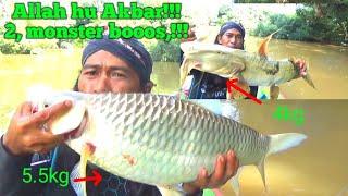 subhanallah!!! banjir besar ikan monster pada masu ke sungai kecil!!