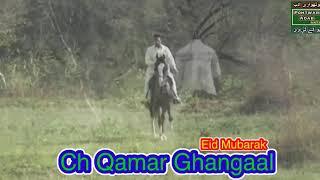 Mashallah brother Ch Qamar Ghangaal from Dadyal kandor