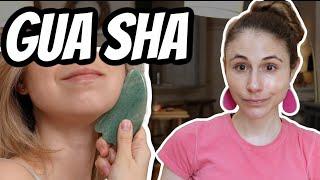 Does GUA SHA work to SMOOTH WRINKLES & SCULPT?| Dr Dray