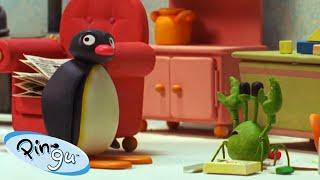 Ping Has a Pet Crab!  | Pingu - Official Channel | Cartoons For Kids