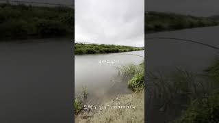 사천 배스 낚시