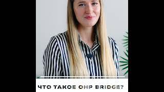 Программа OHP Bridge: Бесплатное медицинское страхование #OHPBridge