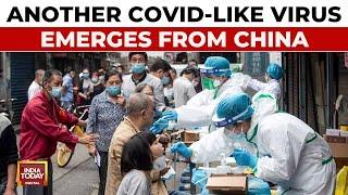 Can Chinese Virus HMPV Turn Into The Next Pandemic? New Respiratory Virus Spikes | India Today