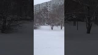 11 февраля 2024 г.